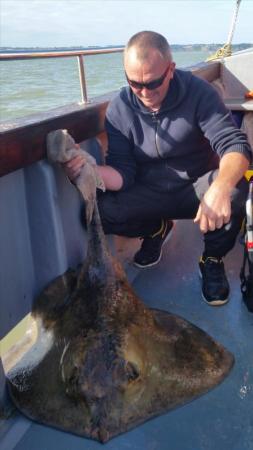 55 lb Stingray (Common) by Jammy git