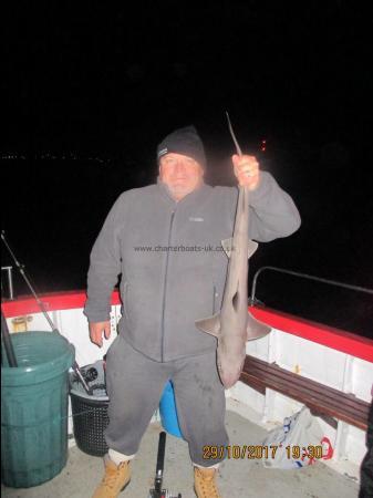 6 lb Smooth-hound by Steve