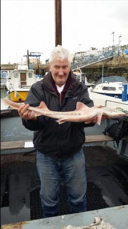 4 lb Starry Smooth-hound by Vic