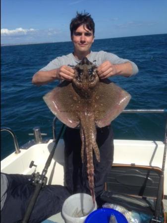 11 lb Thornback Ray by Unknown