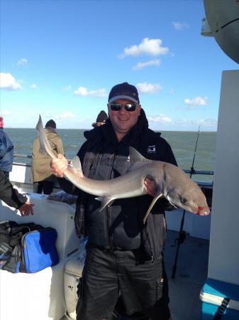 14 lb 6 oz Smooth-hound (Common) by Unknown
