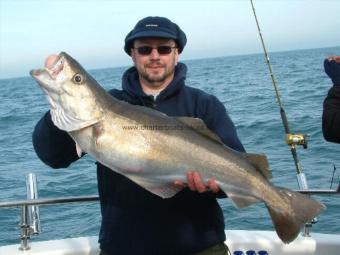 17 lb 8 oz Pollock by Clive Hodges