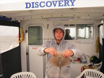 1 lb 9 oz Cuckoo Ray by Unknown