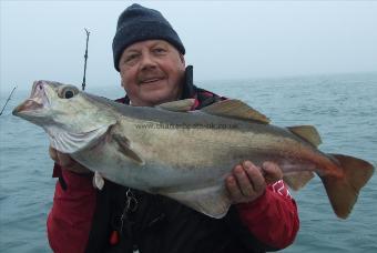 9 lb 8 oz Pollock by Joe Kaplonek