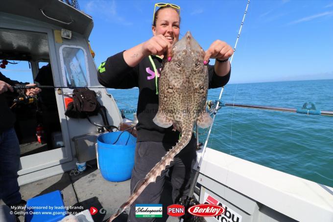 6 lb Thornback Ray by Sdeff