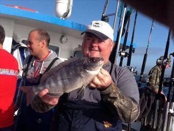 2 lb 12 oz Black Sea Bream by Byron Jones