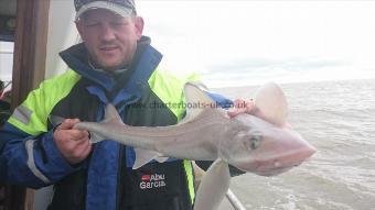 5 lb 9 oz Smooth-hound (Common) by Allan from colchester