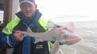 5 lb 9 oz Smooth-hound by Allan from colchester