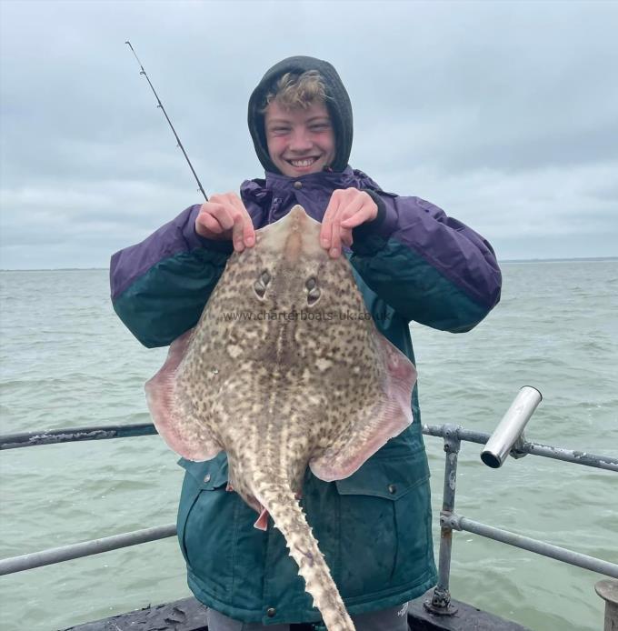 6 lb Thornback Ray by Unknown