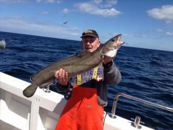 10 lb 6 oz Ling (Common) by ray lafferty