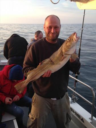 11 lb 2 oz Cod by Unknown