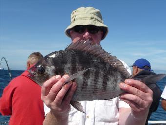 3 lb 15 oz Black Sea Bream by Ian Napier