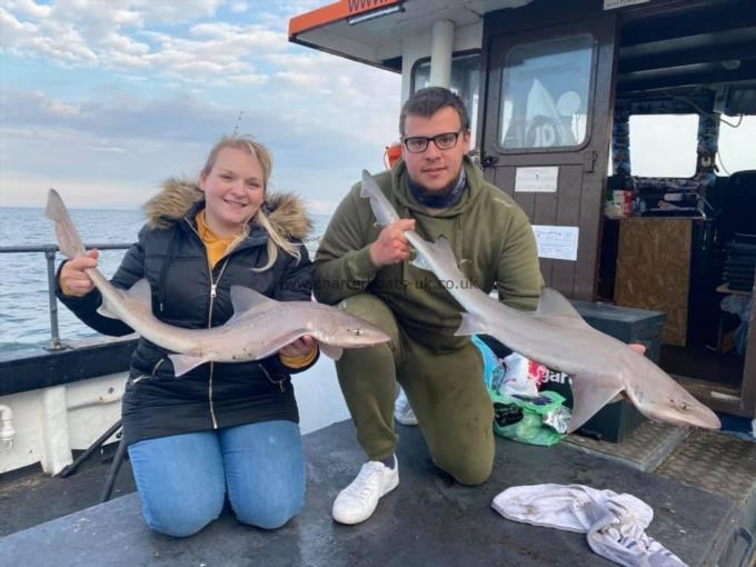 11 lb Smooth-hound by Unknown