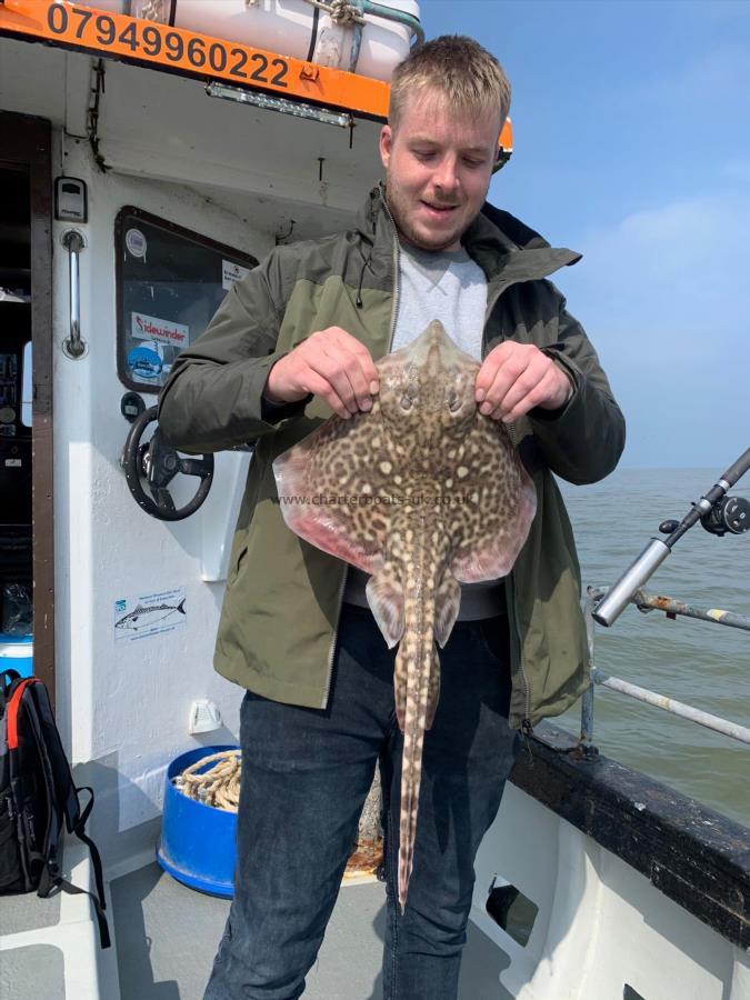 4 lb Thornback Ray by Unknown