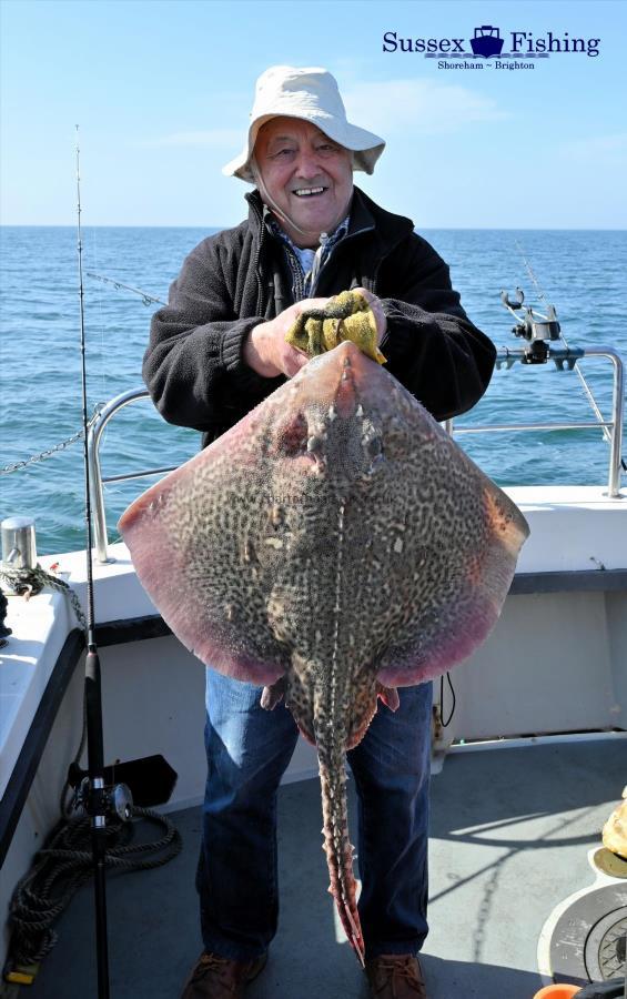 13 lb Thornback Ray by Ron Lainchbury