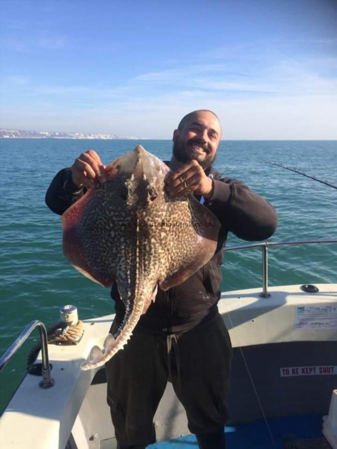 12 lb Thornback Ray by Unknown