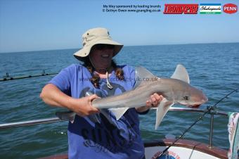 14 lb Starry Smooth-hound by Sue