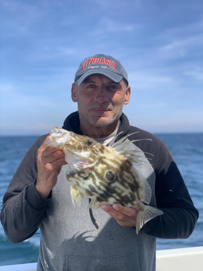 3 lb 7 oz John Dory by Frank