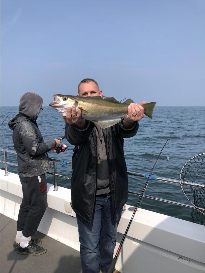 4 lb 10 oz Pollock by Nobby