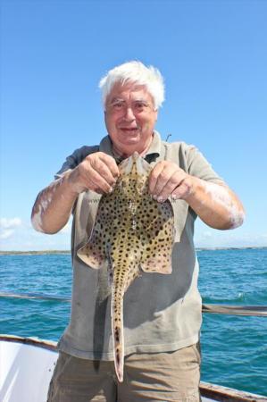 3 lb Spotted Ray by Tim