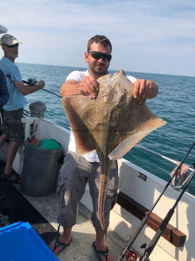 12 lb 8 oz Undulate Ray by Mark Nicholls