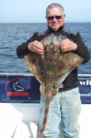 11 lb Undulate Ray by Paul Wilkinson