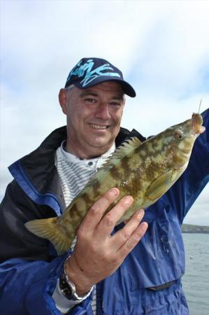 2 lb Ballan Wrasse by Colin