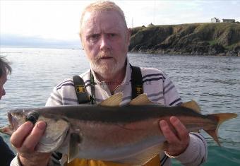 6 lb 8 oz Pollock by stewart walker