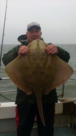 14 lb Blonde Ray by edgy