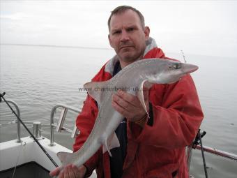 12 lb 8 oz Smooth-hound (Common) by Ian