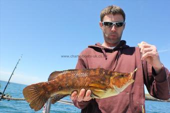 3 lb Ballan Wrasse by Martins Mate