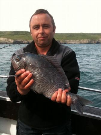 3 lb Black Sea Bream by Unknown