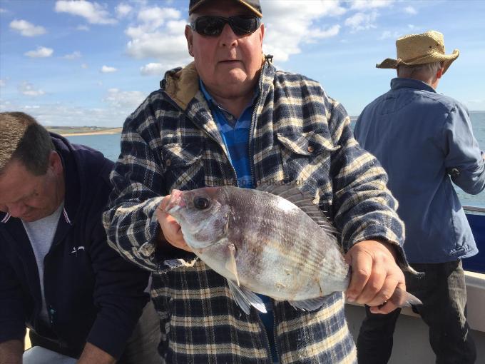 3 lb Black Sea Bream by Ray Barker