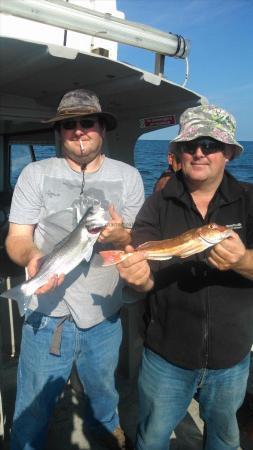 1 lb Red Gurnard by lee tregaskis