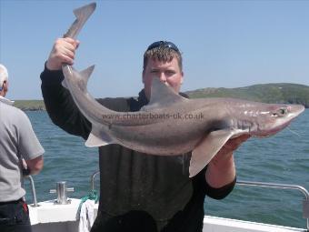 20 lb Starry Smooth-hound by Unknown