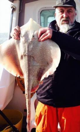 15 lb 4 oz Undulate Ray by Steve Banks