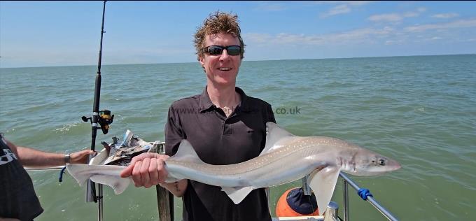 8 lb Smooth-hound by Simon