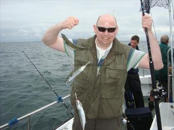 1 lb Mackerel by steve