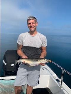 6 lb 6 oz Pollock by Mark Croft