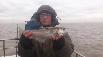 1 lb 4 oz Haddock by peter edwards