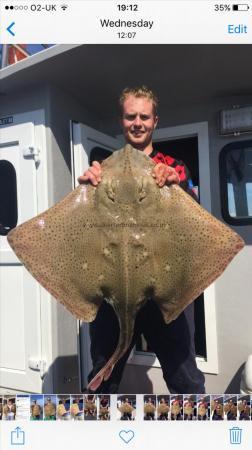 20 lb Blonde Ray by Sam
