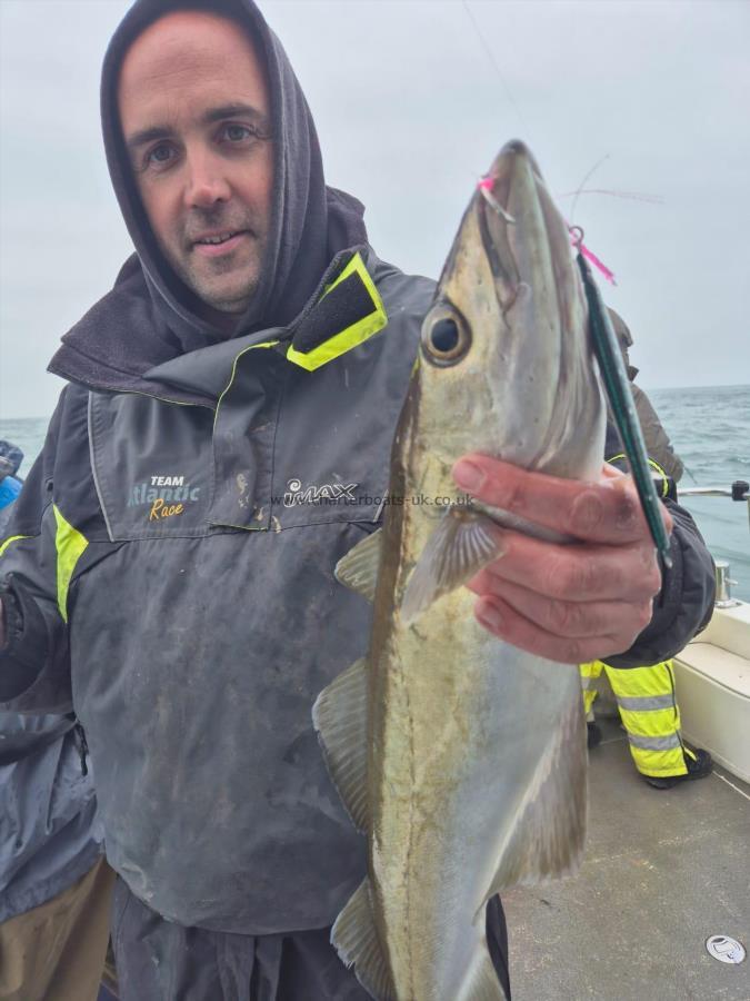 5 lb 1 oz Pollock by Unknown