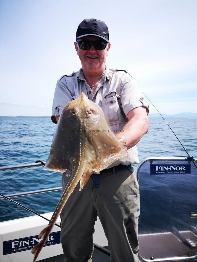 5 lb 1 oz Small-Eyed Ray by Unknown