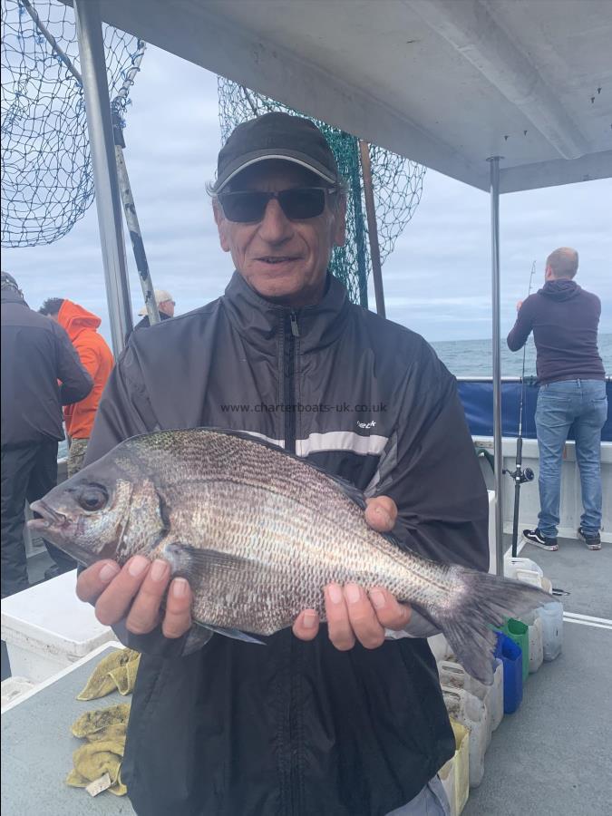 3 lb 12 oz Black Sea Bream by Unknown