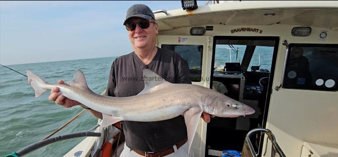 12 lb 2 oz Smooth-hound by Steve