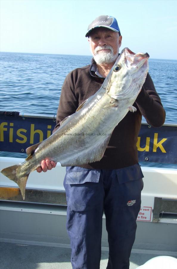 11 lb 2 oz Pollock by Ian Youngs