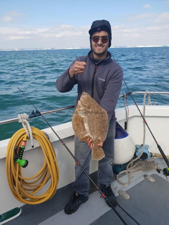 4 lb Brill by Unknown