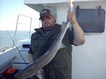 13 lb Smooth-hound (Common) by stuart gravely