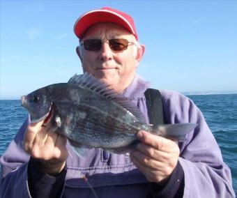 2 lb 4 oz Black Sea Bream by Mick Nunn