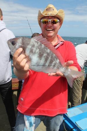 2 lb 15 oz Black Sea Bream by Unknown